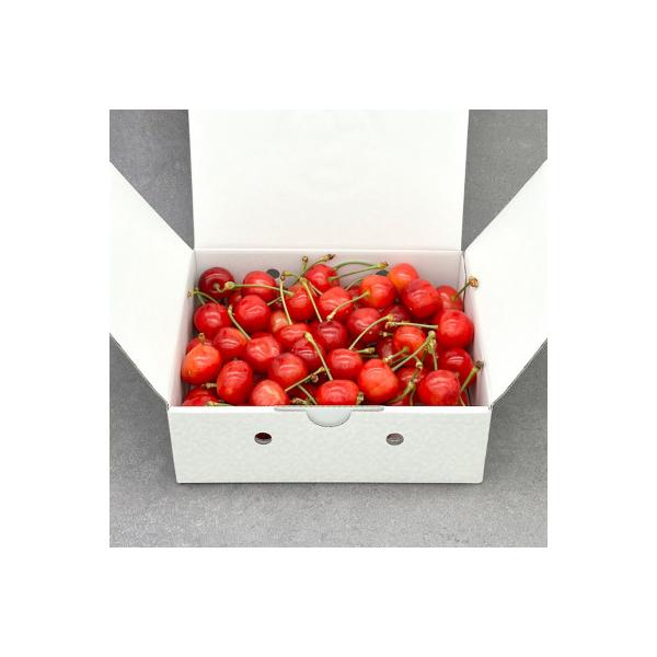 ■お礼品詳細　・配送種別：冷蔵便■お申し込み・配送・その他　・発送時期：2026-06-15〜2026-07-10（お届け時間帯指定可）　・申込受付期間：〜2026-06-25　・配達外のエリア：離島、北海道、沖縄県、中国、四国、九州　・寄...