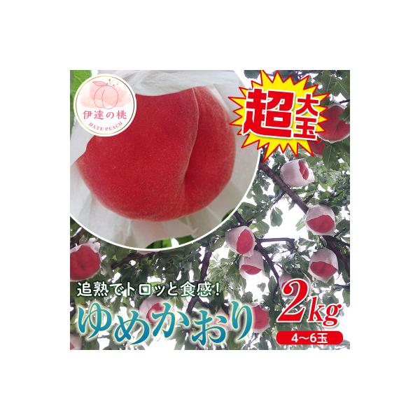 ■お礼品詳細　・配送種別：通常■お申し込み・配送・その他　・発送時期：2026-09-11〜2026-09-30（お届け時間帯指定可）　・申込受付期間：〜2026-07-31　・配達外のエリア：離島、沖縄県　・寄付証明書の送付時期目安：申込...