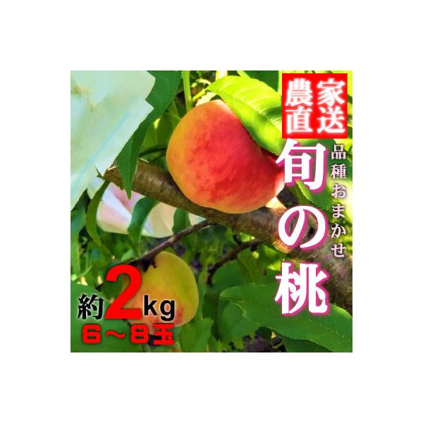 ■お礼品詳細　・配送種別：冷蔵便■お申し込み・配送・その他　・発送時期：2026-06-10〜2026-07-31（お届け時間帯指定可）　・申込受付期間：〜2026-07-25　・配達外のエリア：離島、沖縄県　・寄付証明書の送付時期目安：申...