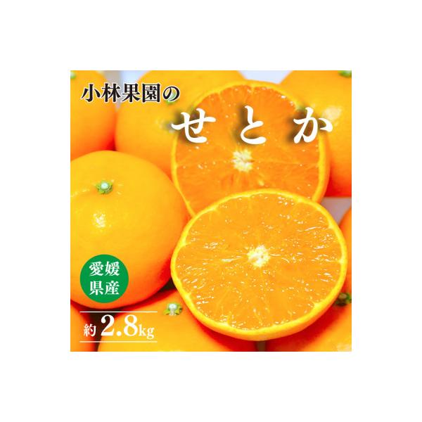 ふるさと納税 八幡浜市 愛媛・小林果園のせとか 約2.8kg【C24-31