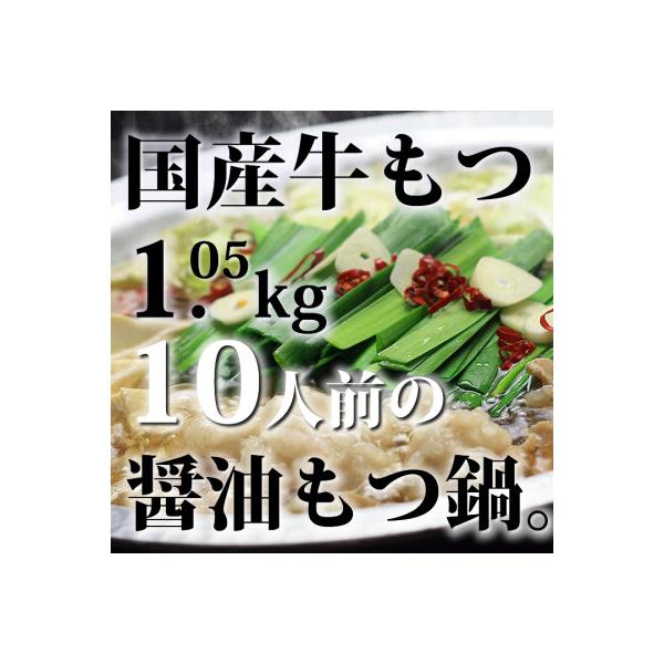 ふるさと納税 みやこ町 国産牛もつ1kgオーバー!九州醤油もつ鍋10人前[牛もつ1.05kg/九州醤油スープ付](みやこ町)