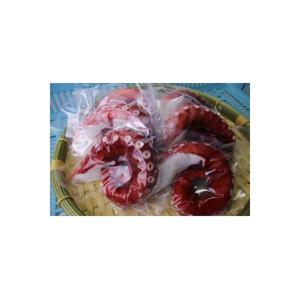 ■お礼品詳細　・配送種別：冷凍便■お申し込み・配送・その他　・発送時期：2026-02-12より順次発送 ※生産・天候・交通等の事情により遅れる場合があります。（お届け時間帯指定可）　・申込受付期間：通年　・配達外のエリア：離島　・寄付証明...