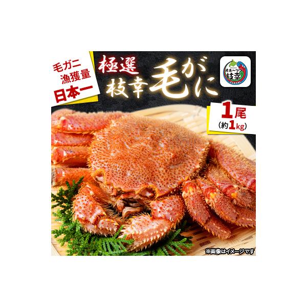 ふるさと納税 枝幸町 漁獲量日本一 枝幸毛がに 1尾(約1kg) 北海道枝幸町産