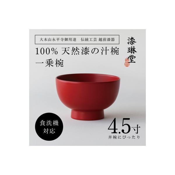 ふるさと納税 鯖江市 【大本山永平寺御用達 漆琳堂】＜越前漆器＞ 食洗