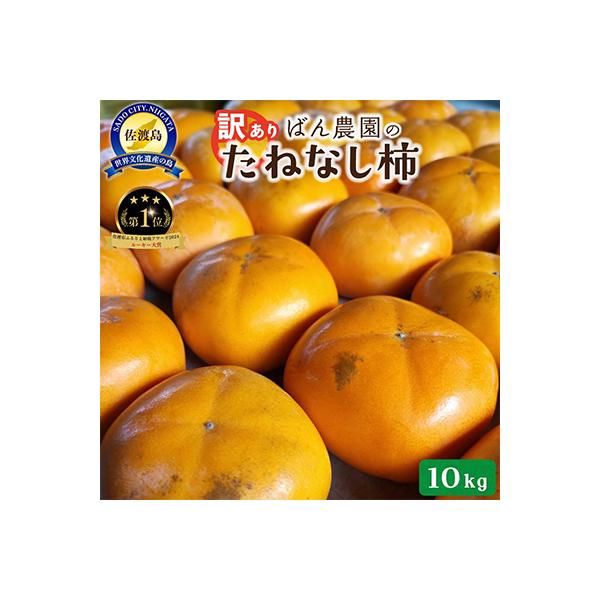 ふるさと納税 佐渡市 【2026年10月以降発送分】訳あり　佐渡島産たねなし柿　10kg(箱の重さ込み)