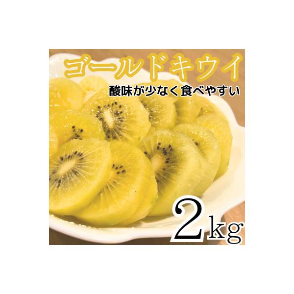 ふるさと納税 牧之原市 【先行受付】【新品種】国産ゴールドキウイ!東京ゴールド　2kg