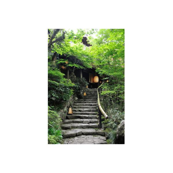 ふるさと納税 あきる野市 黒茶屋・燈々庵・風姿共通お食事券 10,000円
