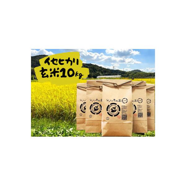 ふるさと納税 豊川市 新米【2026年11月〜順次発送】栽培期間中肥料