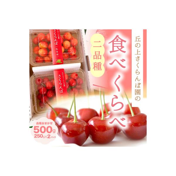 ■お礼品詳細　・配送種別：冷蔵便■お申し込み・配送・その他　・発送時期：2026-06-10〜2026-07-01（お届け時間帯指定可）　・申込受付期間：〜2026-05-31　・配達外のエリア：離島　・寄付証明書の送付時期目安：申込完了日...