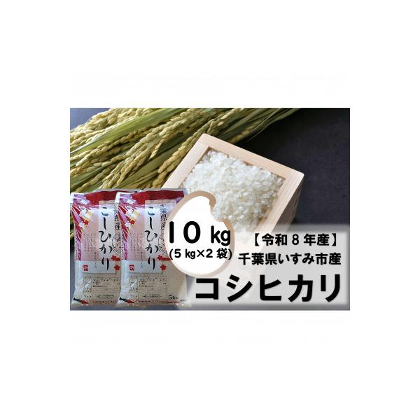 ふるさと納税 いすみ市 【令和8年産米】千葉県いすみ市産 コシヒカリ