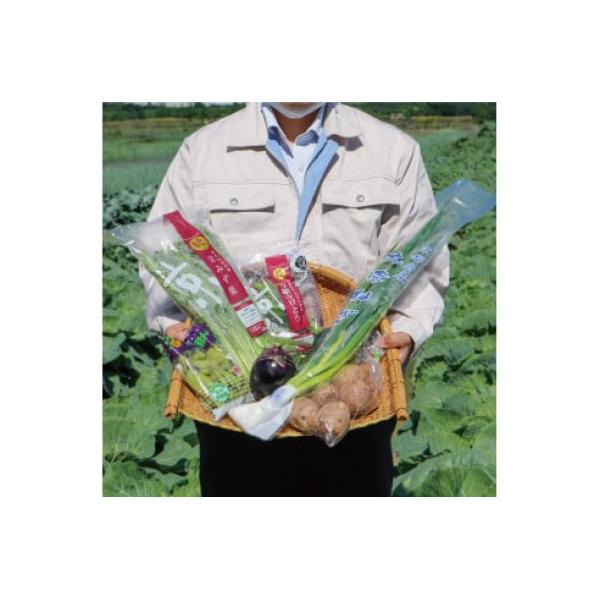 ■お礼品詳細　・配送種別：冷蔵便■お申し込み・配送・その他　・発送時期：2025-01-11以降、お申込みより1週間程度で順次発送予定（お届け時間帯指定可）　・申込受付期間：通年　・配達外のエリア：離島　・寄付証明書の送付時期目安：申込完了...