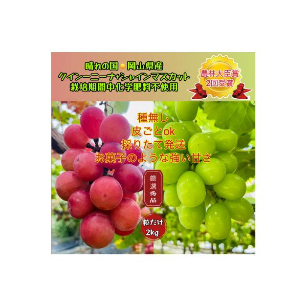 #6 山梨県産　クインニーナ　我が道　シャインマスカット　2kg 6 山梨県産 クインニーナ 我が道 シャインマスカット 2kg 商品の説明