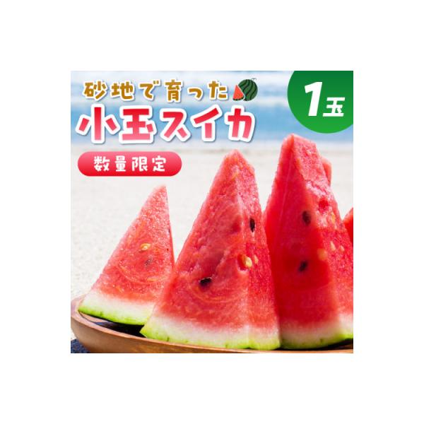■お礼品詳細　・配送種別：通常■お申し込み・配送・その他　・発送時期：2026-06-11〜2026-06-30（お届け時間帯指定可）　・申込受付期間：〜2026-06-01　・配達外のエリア：　・寄付証明書の送付時期目安：申込完了日から２...