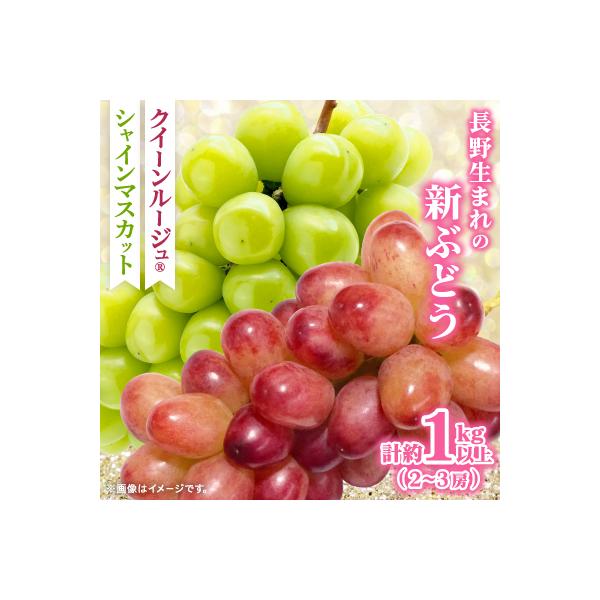 ■お礼品詳細　・配送種別：冷蔵便■お申し込み・配送・その他　・発送時期：2026/09/25〜2026/11/10（お届け時間帯指定可）　・申込受付期間：〜2026/10/20　・配達外のエリア：離島、沖縄県　・寄付証明書の送付時期目安：申...