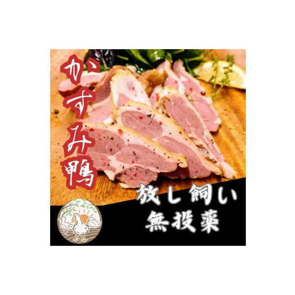 ■お礼品詳細　・配送種別：冷凍便■お申し込み・配送・その他　・発送時期：2026-02-02より順次発送 ※生産・天候・交通等の事情により遅れる場合があります。（お届け日時指定可）　・申込受付期間：通年　・配達外のエリア：離島　・寄付証明書...