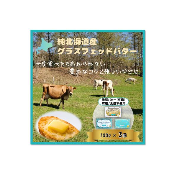 ふるさと納税 西興部村 【おためし】北海道産グラスフェッドバター3個セット(有塩・食塩不使用・発酵　100g×各1個)