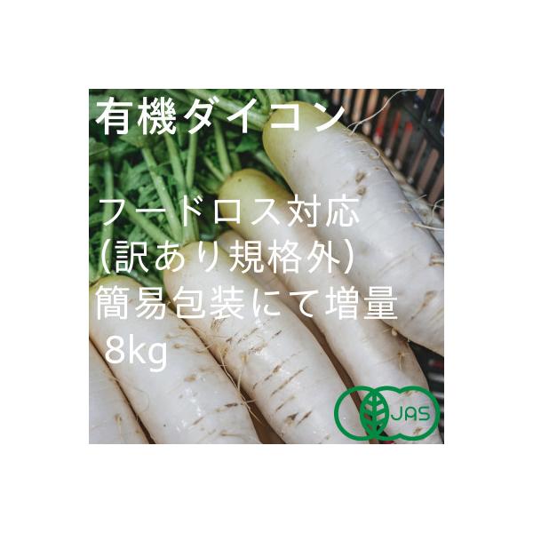 ■お礼品詳細　・配送種別：通常■お申し込み・配送・その他　・発送時期：2025-12-01〜2026-03-31（お届け時間帯指定可）　・申込受付期間：2025-07-18〜2026-01-31　・配達外のエリア：離島、北海道、沖縄県　・寄...