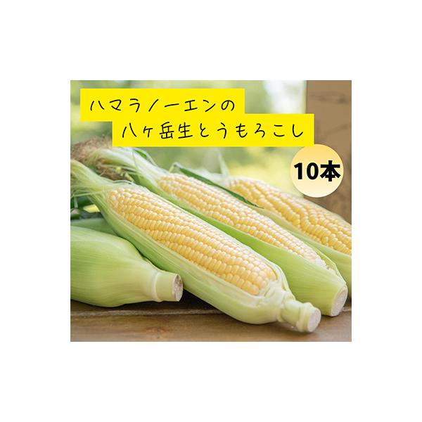 ■お礼品詳細　・配送種別：冷蔵便■お申し込み・配送・その他　・発送時期：2026/07/20〜2026/09/30（お届け時間帯指定可）　・申込受付期間：〜2026-08-31　・配達外のエリア：離島　・寄付証明書の送付時期目安：申込完了日...