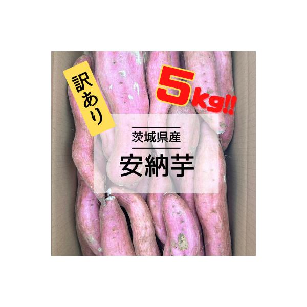ふるさと納税 取手市 【先行受注・数量限定】10月中旬より順次発送　訳アリ 5kg 茨城県産 安納芋