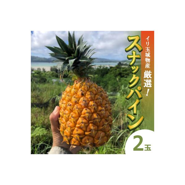 ■お礼品詳細　・配送種別：冷蔵便■お申し込み・配送・その他　・発送時期：2026-06-01〜2026-07-31（お届け時間帯指定可）　・申込受付期間：〜2026-06-30　・配達外のエリア：離島　・寄付証明書の送付時期目安：申込完了日...