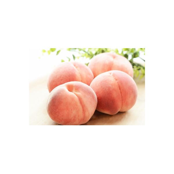 ■お礼品詳細　・配送種別：冷蔵便■お申し込み・配送・その他　・発送時期：2026-07-20〜2026-09-10（お届け時間帯指定可）　・申込受付期間：2025-09-15〜2026-08-31　・配達外のエリア：離島　・寄付証明書の送付...