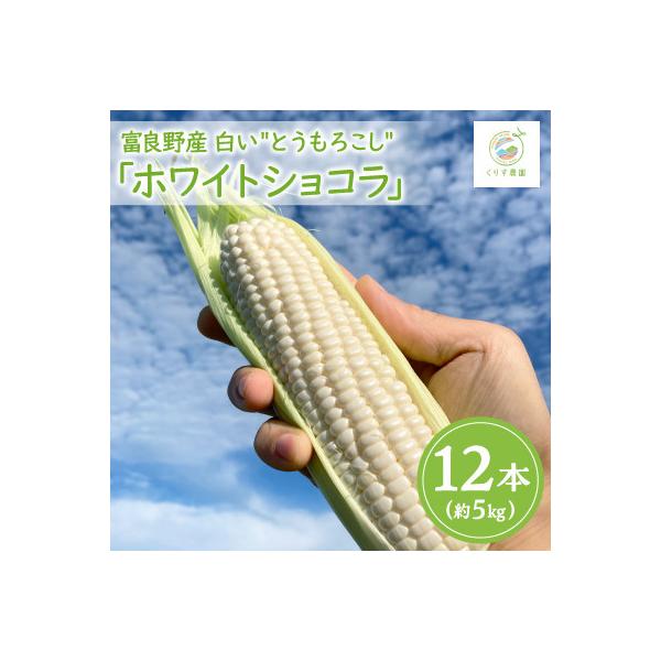 ■お礼品詳細　・配送種別：冷蔵便■お申し込み・配送・その他　・発送時期：2026-08-20〜2026-08-31（お届け時間帯指定可）　・申込受付期間：〜2026-07-31　・配達外のエリア：離島　・寄付証明書の送付時期目安：申込完了日...