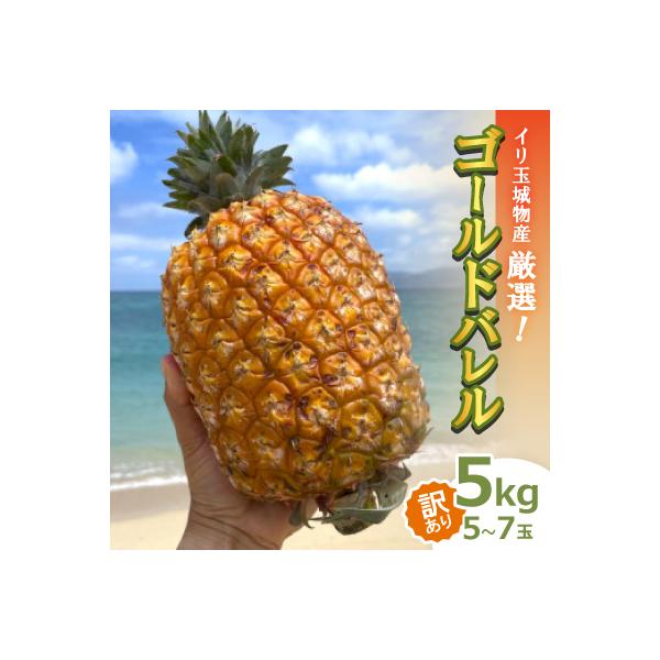 ■お礼品詳細　・配送種別：冷蔵便■お申し込み・配送・その他　・発送時期：2026-07-10〜2026-08-15（お届け時間帯指定可）　・申込受付期間：〜2026-07-15　・配達外のエリア：離島　・寄付証明書の送付時期目安：申込完了日...