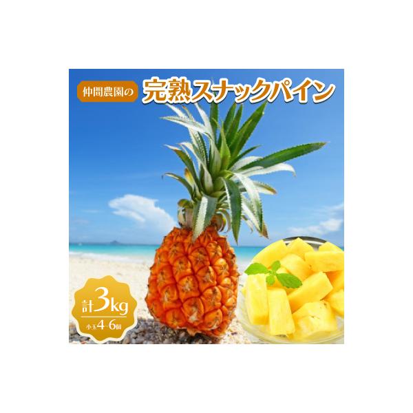 ■お礼品詳細　・配送種別：冷蔵便■お申し込み・配送・その他　・発送時期：2026-06-01〜2026-07-10（お届け時間帯指定可）　・申込受付期間：〜2026-06-20　・配達外のエリア：離島　・寄付証明書の送付時期目安：申込完了日...