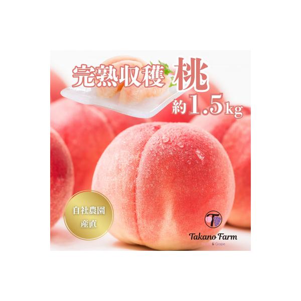 ■お礼品詳細　・配送種別：冷蔵便■お申し込み・配送・その他　・発送時期：2026-07-01〜2026-08-10（お届け時間帯指定可）　・申込受付期間：〜2026-06-30　・配達外のエリア：離島　・寄付証明書の送付時期目安：申込完了日...