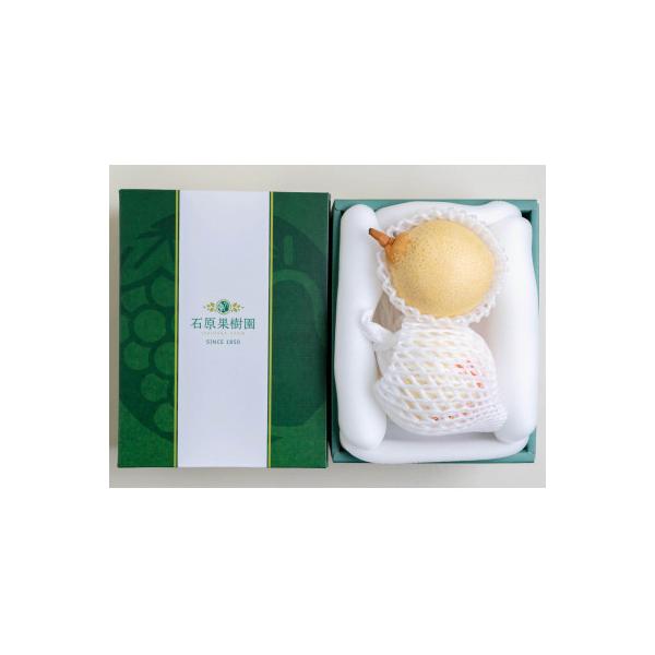 ■お礼品詳細　・配送種別：通常■お申し込み・配送・その他　・発送時期：2026-11-15〜2026-12-24（お届け時間帯指定可）　・申込受付期間：〜2026-12-19　・配達外のエリア：　・寄付証明書の送付時期目安：申込完了日から２...