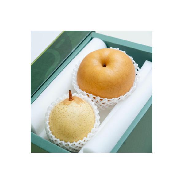 ■お礼品詳細　・配送種別：通常■お申し込み・配送・その他　・発送時期：2026-11-15〜2026-12-24（お届け時間帯指定可）　・申込受付期間：〜2026-12-19　・配達外のエリア：　・寄付証明書の送付時期目安：申込完了日から２...