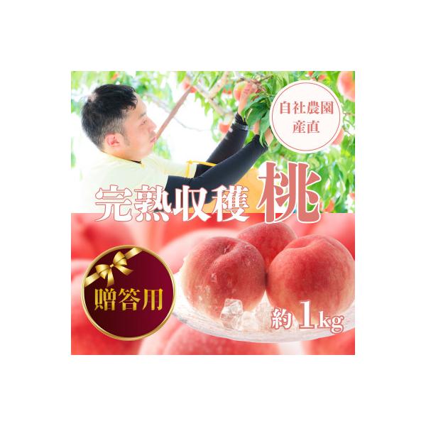 ■お礼品詳細　・配送種別：冷蔵便■お申し込み・配送・その他　・発送時期：2026-07-15〜2026-08-05（お届け時間帯指定可）　・申込受付期間：〜2026-06-30　・配達外のエリア：離島　・寄付証明書の送付時期目安：申込完了日...