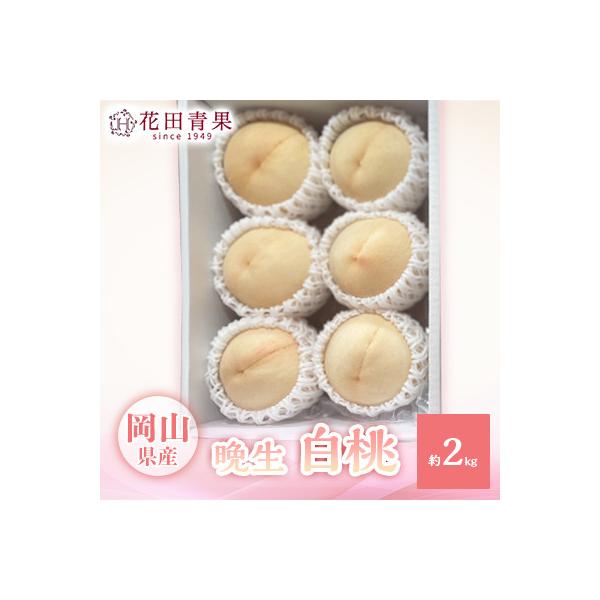 ■お礼品詳細　・配送種別：冷蔵便■お申し込み・配送・その他　・発送時期：2026-08-05〜2026-09-10（お届け時間帯指定可）　・申込受付期間：2025-11-22〜2026-08-31　・配達外のエリア：離島　・寄付証明書の送付...