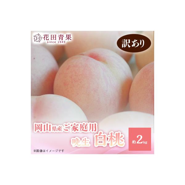 ■お礼品詳細　・配送種別：冷蔵便■お申し込み・配送・その他　・発送時期：2026-08-05〜2026-09-10（お届け時間帯指定可）　・申込受付期間：2025-11-22〜2026-08-31　・配達外のエリア：離島　・寄付証明書の送付...