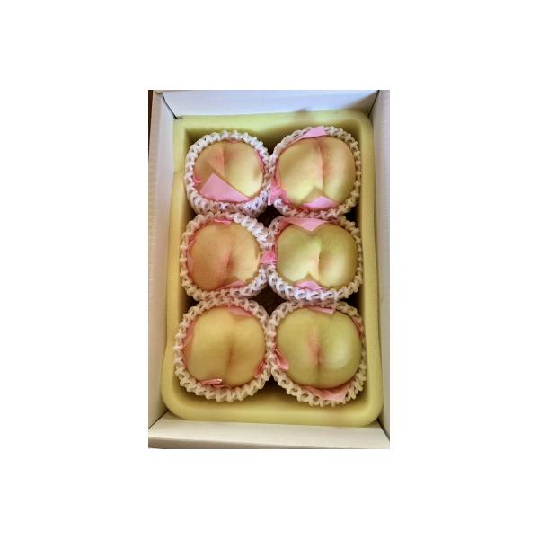 ■お礼品詳細　・配送種別：冷蔵便■お申し込み・配送・その他　・発送時期：2026-06-16~2026-08-15（お届け時間帯指定可）　・申込受付期間：~2026-06-10　・配達外のエリア：離島　・寄付証明書の送付時期目安：申込完了日...