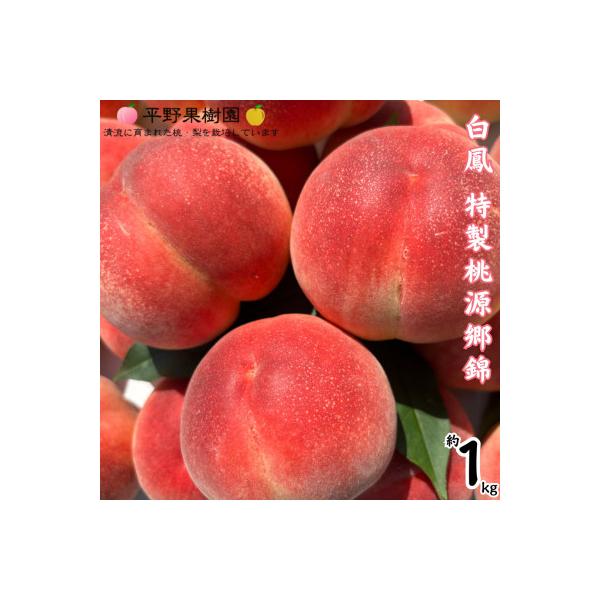 ■お礼品詳細　・配送種別：冷蔵便■お申し込み・配送・その他　・発送時期：2026-06-15〜2027-07-15（お届け時間帯指定可）　・申込受付期間：〜2026-06-25　・配達外のエリア：離島、沖縄県　・寄付証明書の送付時期目安：申...