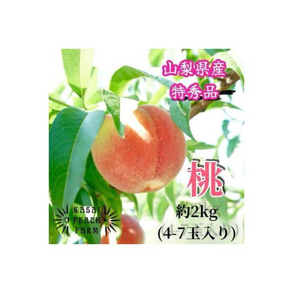 ■お礼品詳細　・配送種別：冷蔵便■お申し込み・配送・その他　・発送時期：2026-06-29〜2026-09-07（お届け時間帯指定可）　・申込受付期間：〜2026-08-15　・配達外のエリア：離島　・寄付証明書の送付時期目安：申込完了日...