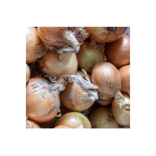 ■お礼品詳細　・配送種別：通常■お申し込み・配送・その他　・発送時期：2026-05-08〜2026-06-20　・申込受付期間：〜2026-05-10　・配達外のエリア：　・寄付証明書の送付時期目安：申込完了日から２週間程度　・提供元：（...