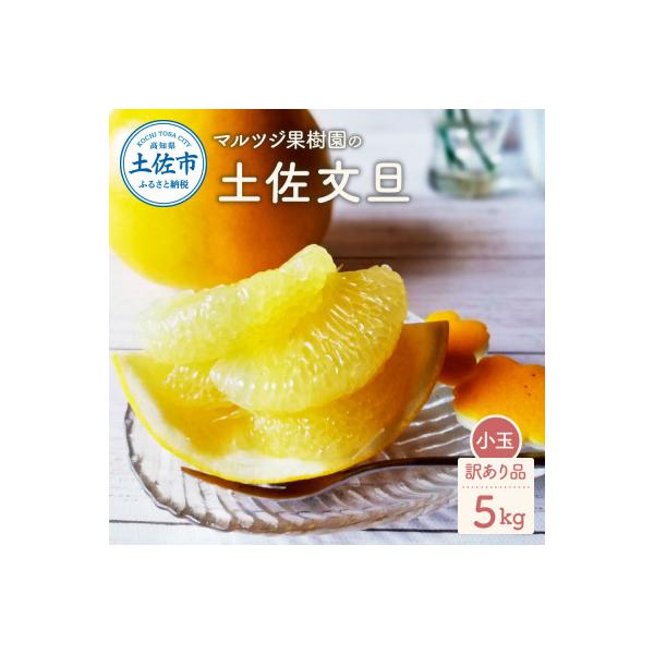 ふるさと納税 土佐市 マルツジ果樹園の土佐文旦 小玉 訳あり品