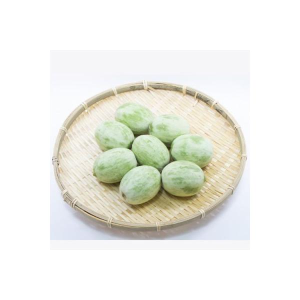 ■お礼品詳細　・配送種別：通常■お申し込み・配送・その他　・発送時期：2026-03-01〜2026-04-15（お届け時間帯指定可）　・申込受付期間：〜2026-04-04　・配達外のエリア：離島、沖縄県　・寄付証明書の送付時期目安：申込...