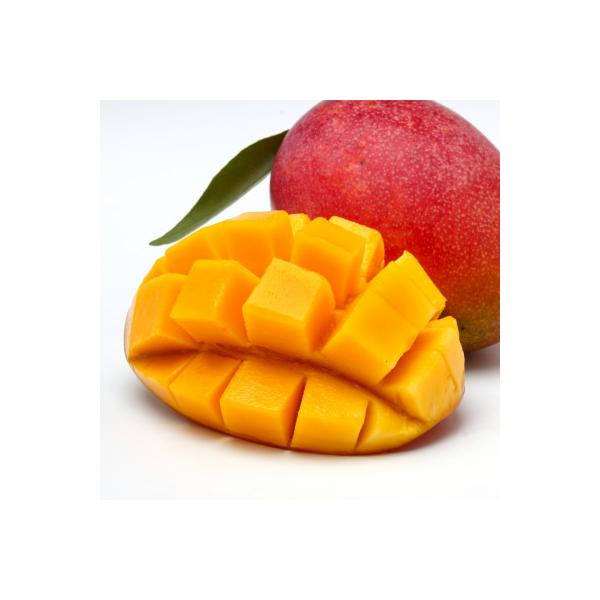 ■お礼品詳細　・配送種別：冷蔵便■お申し込み・配送・その他　・発送時期：2026-07-15〜2026-08-15（お届け時間帯指定可）　・申込受付期間：2026-02-01〜2026-07-20　・配達外のエリア：離島　・寄付証明書の送付...