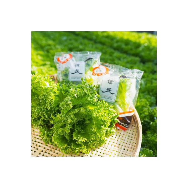 ■お礼品詳細　・配送種別：冷蔵便■お申し込み・配送・その他　・発送時期：お申込み後1〜2週間程度で発送予定（お届け時間帯指定可）　・申込受付期間：通年　・配達外のエリア：離島　・寄付証明書の送付時期目安：申込完了日から２週間程度　・提供元：...