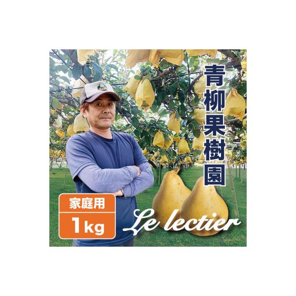 ふるさと納税 加茂市 「青柳果樹園のル・レクチェ」 西洋梨 良品家庭用 1kg(2〜3玉)|ふるさと納税 冬限定新潟の味覚