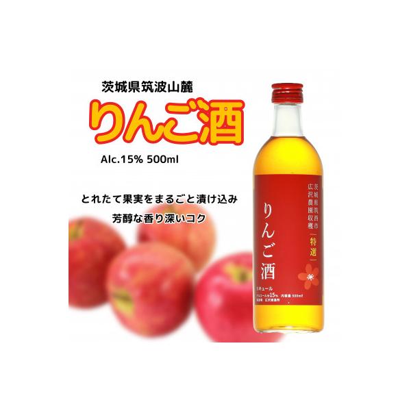 ふるさと納税 筑西市 広沢農園 りんご酒 15% 500ml : Yahoo!ふるさと