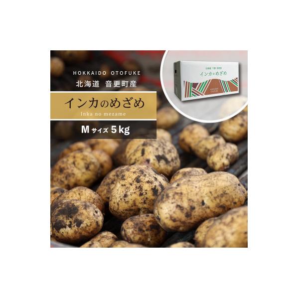 ふるさと納税 音更町 北海道おとふけ産じゃがいも「インカのめざめ」5kg(Mサイズ)【B127】