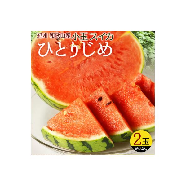 ■お礼品詳細　・配送種別：通常■お申し込み・配送・その他　・発送時期：2026-06-10〜2026-06-30（お届け時間帯指定可）　・申込受付期間：2025-07-01〜2026-06-15　・配達外のエリア：　・寄付証明書の送付時期目...