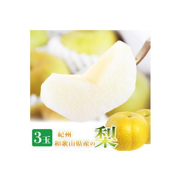 ■お礼品詳細　・配送種別：通常■お申し込み・配送・その他　・発送時期：2026-08-11〜2026-09-10（お届け時間帯指定可）　・申込受付期間：2025-09-20〜2026-08-25　・配達外のエリア：離島、北海道、沖縄県　・寄...