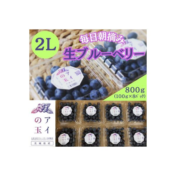 ふるさと納税 小美玉市 ★予約受付開始★初夏の恵みを一番にお届け【アイの玉】毎日朝摘み生ブルーベリー(2L)