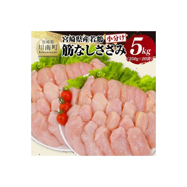 ふるさと納税 川南町 宮崎県産若鶏 筋なしささみ5kg(250g×20)(川南町