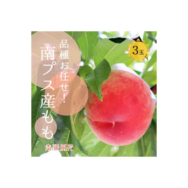 ■お礼品詳細　・配送種別：通常■お申し込み・配送・その他　・発送時期：2026-06-15〜2026-08-10　・申込受付期間：〜2026-07-27　・配達外のエリア：離島、北海道、沖縄県、中国、四国、九州　・寄付証明書の送付時期目安：...